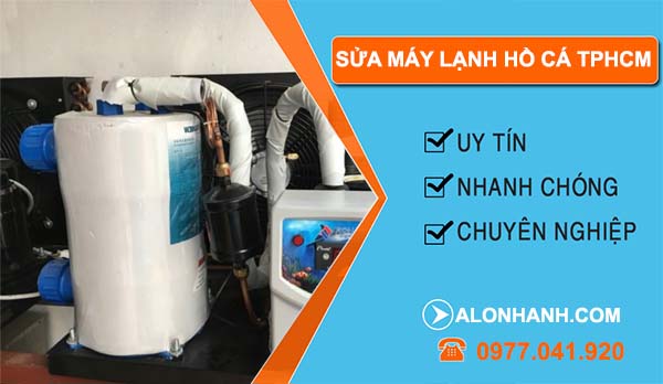 sửa máy lạnh hồ cá tphcm