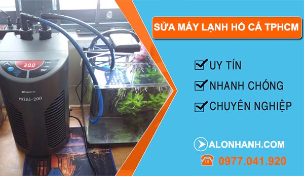 thi công sửa máy lạnh hồ cá tphcm