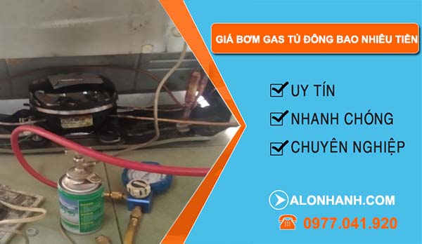 giá bơm gas tủ đông bao nhiêu tiền