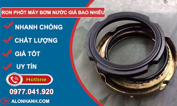 ron phốt máy bơm nước giá bao nhiêu tiền