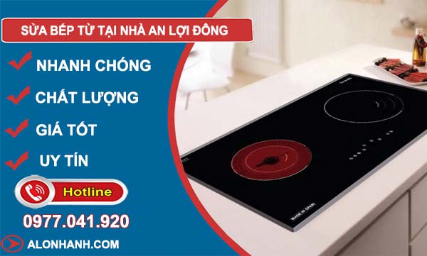 sửa bếp từ tại nhà an lợi đông