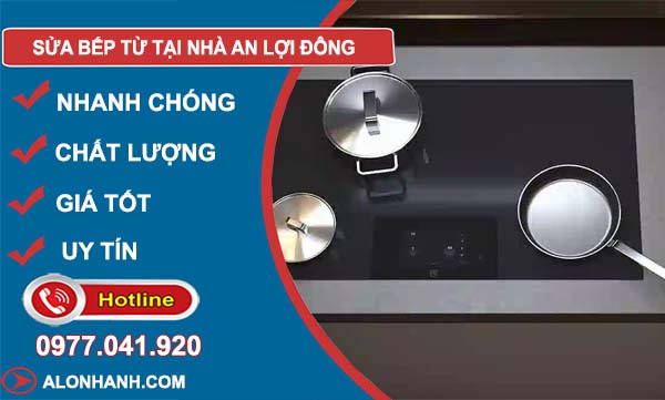 thợ sửa bếp từ tại nhà an lợi đông