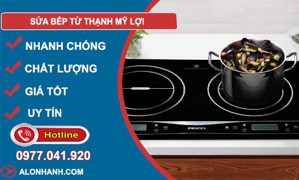thợ sửa bếp từ thạnh mỹ lợi