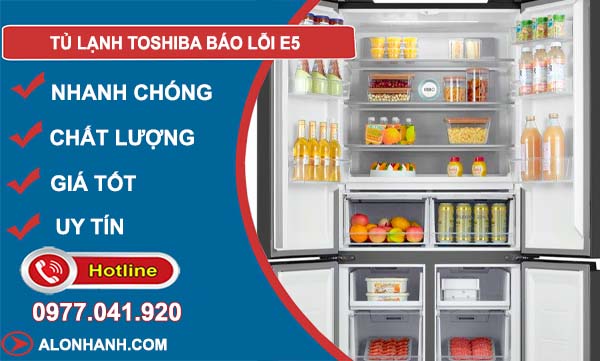 khắc phục tủ lạnh toshiba báo lỗi e5