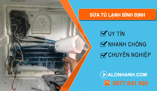 Sửa Tủ Lạnh Bình Định