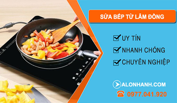 Sửa Bếp Từ Lâm Đồng