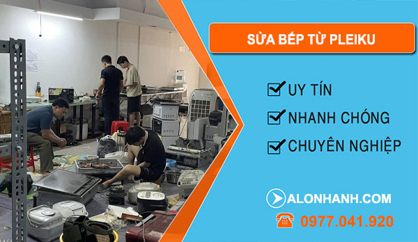 Sửa Bếp Từ Pleiku
