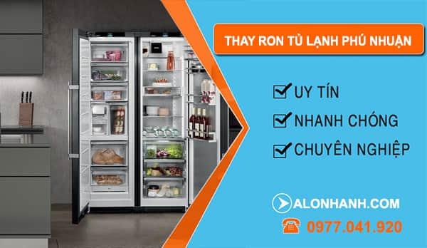 Thay Ron Tủ Lạnh Phú Nhuận