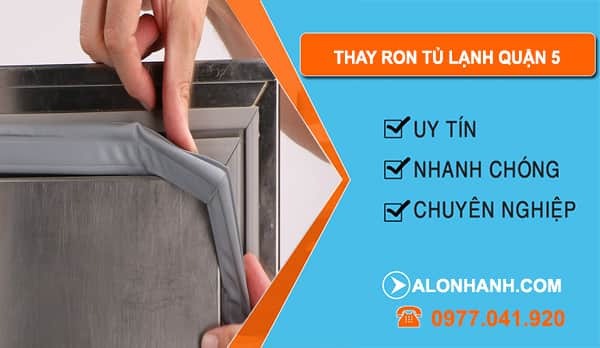 Thay Ron Tủ Lạnh Quận 5