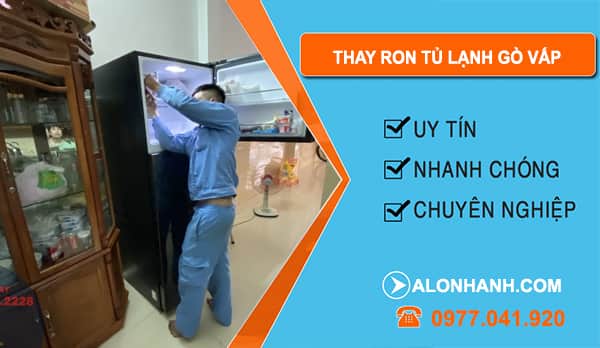 Thay Ron Tủ Lạnh Tại Gò Vấp