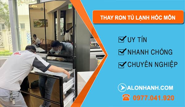 Thay Ron Tủ Lạnh Tại Hóc Môn