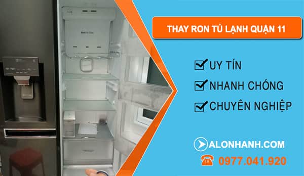 Thay Ron Tủ Lạnh Tại Quận 11