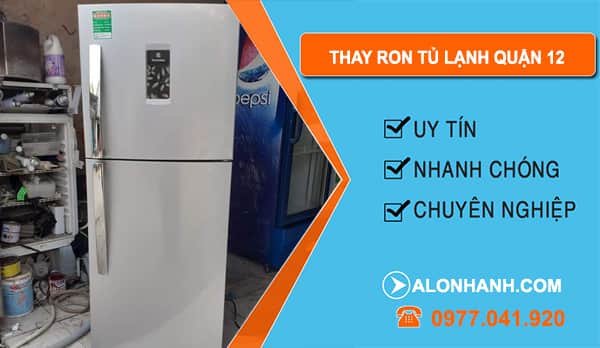 Thay Ron Tủ Lạnh Tại Quận 12