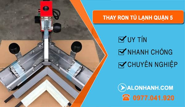 Thay Ron Tủ Lạnh tại Quận 5