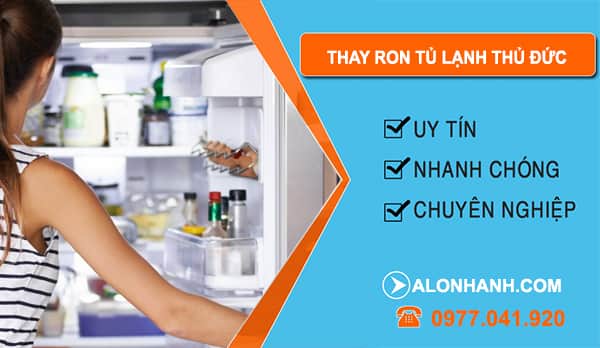 Thay Ron Tủ Lạnh tại Thủ Đức