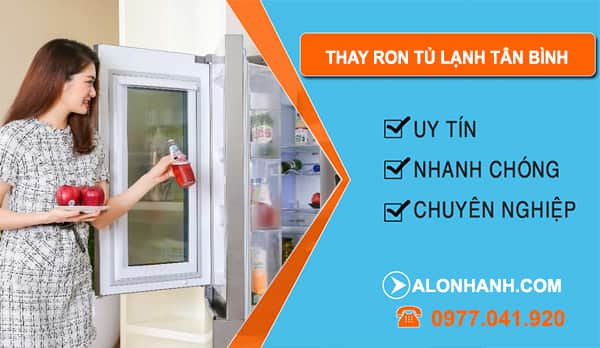Thay Ron Tủ Lạnh Tân Bình