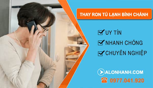 Thợ Thay Ron Tủ Lạnh Bình Chánh