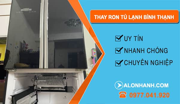Thợ Thay Ron Tủ Lạnh Bình Thạnh