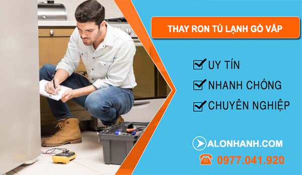 Thợ Thay Ron Tủ Lạnh Gò Vấp
