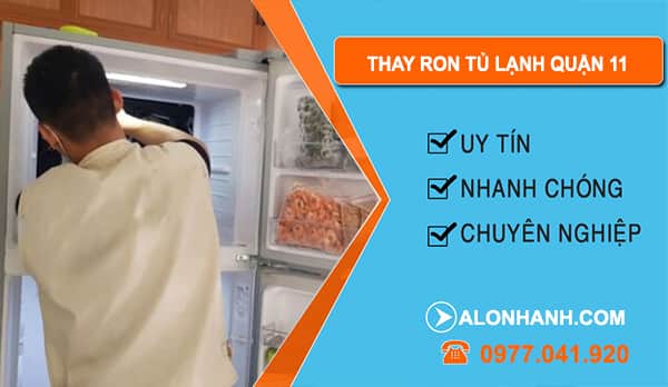 Thợ Thay Ron Tủ Lạnh Quận 11