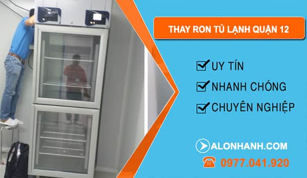 Thợ Thay Ron Tủ Lạnh Quận 12