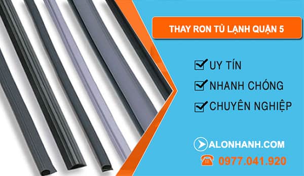 Thợ Thay Ron Tủ Lạnh Quận 5