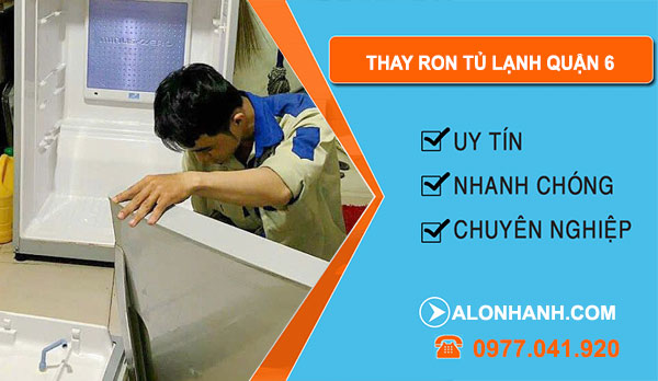 thợ Thay Ron Tủ Lạnh Quận 6
