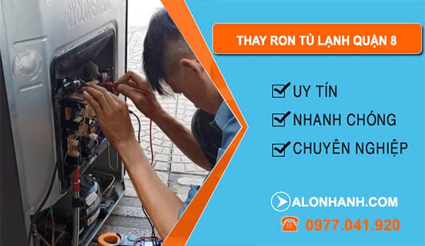 Thợ Thay Ron Tủ Lạnh Quận 8