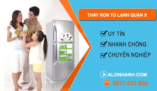 Thợ Thay Ron Tủ Lạnh Quận 9