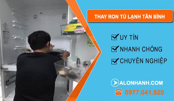 Thợ Thay Ron Tủ Lạnh Tân Bình