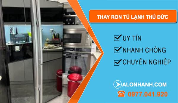 Thợ thay Ron Tủ Lạnh Thủ Đức