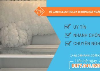 nguyên nhân tủ lạnh electrolux bị đóng đá ngăn mát