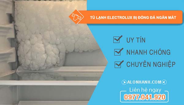 nguyên nhân tủ lạnh electrolux bị đóng đá ngăn mát