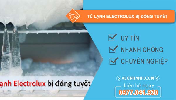 nguyên nhân tủ lạnh electrolux bị đóng tuyết