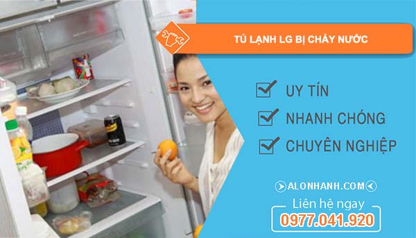 nguyên nhân tủ lạnh lg bị chảy nước