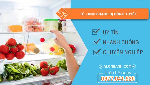 nguyên nhân tủ lạnh sharp bị đóng tuyết