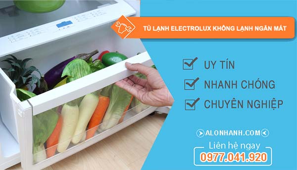 sửa tủ lạnh electrolux không lạnh ngăn mát