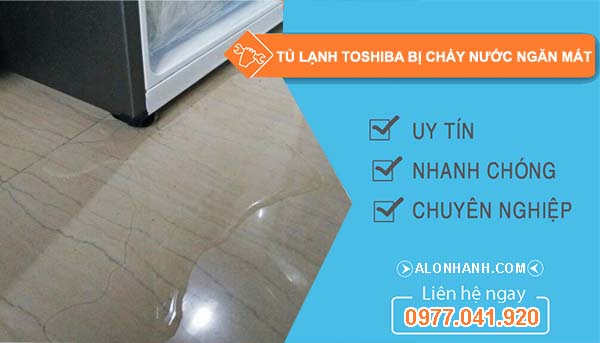 sửa tủ lạnh toshiba bị chảy nước ngăn mát