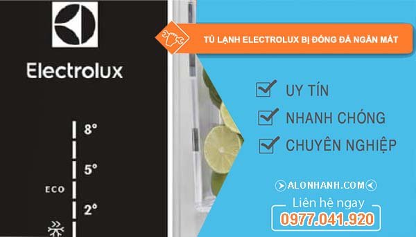 tủ lạnh electrolux bị đóng đá ngăn mát