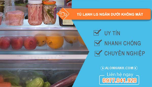 tủ lạnh lg ngăn dưới không mát