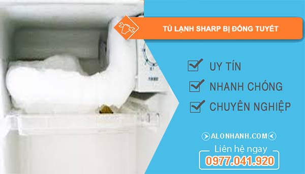 tủ lạnh sharp bị đóng tuyết