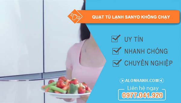 quạt tủ lạnh sanyo không chạy