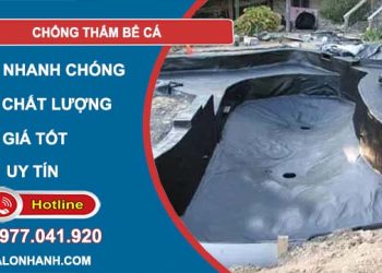 cách chống thấm bể cá