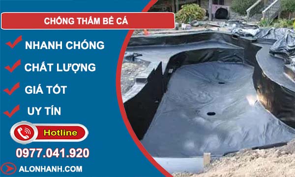 cách chống thấm bể cá
