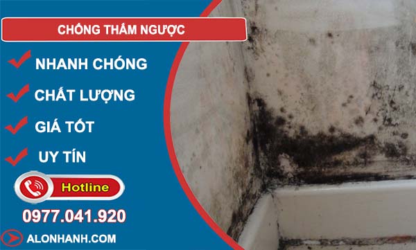chống thấm ngược