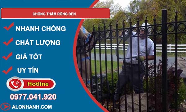 chống thấm rồng đen hiệu quả
