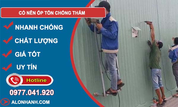 có nên ốp tôn chống thấm phân tích