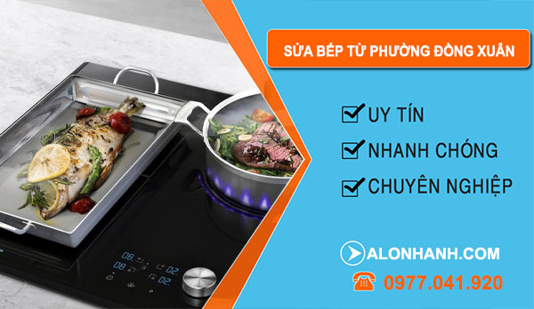 Sửa Bếp Từ Phường Đồng Xuân