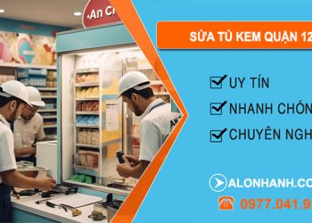 Sửa Tủ Kem Quận 12